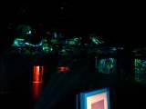 20130405009