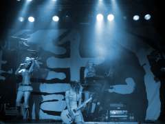 CXS20080717072