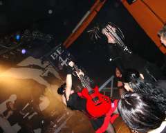 CXS20080717183