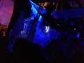 GPP2013102