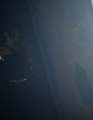 070224V066