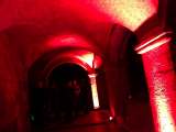 IMG_6384