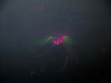 20120908O039