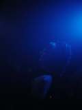 20111209015