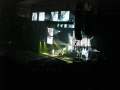 Placebo2006033