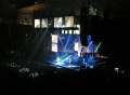 Placebo2006049