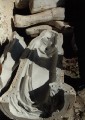 02100104b