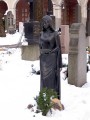 IMGP0729