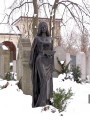 IMGP0731