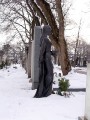 IMGP0733