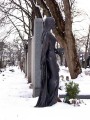 IMGP0734