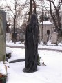 IMGP0735