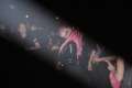WGT2006Flo052