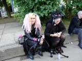 WGT2009055