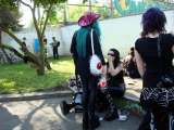 WGT2010T2069